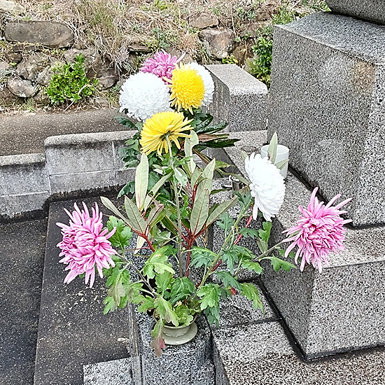 墓の花