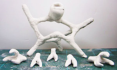 １１月２７日・頭手足