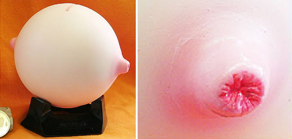 ディスプレイモデル