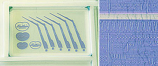 ガンド・ロワ申請写真２