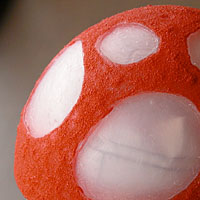 ジェルメディウム拡大