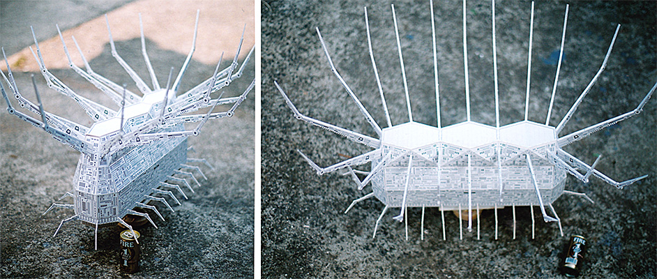 Ｇ・Ｒ申請写真2