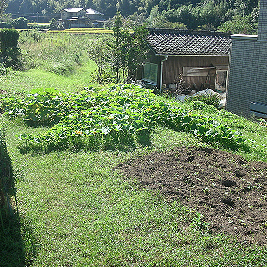 昨日のためにとった写真